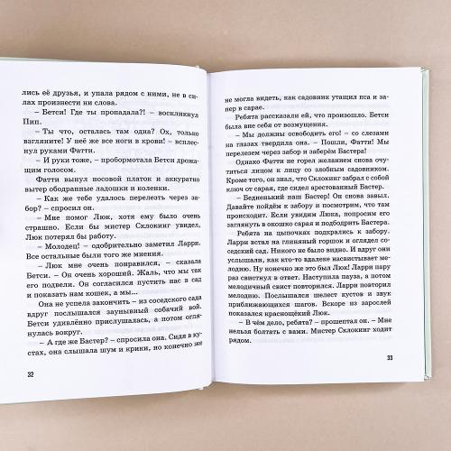 Тайна пропавшей кошки