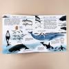 Что? Почему? Зачем? Мир морских животных (книга с дефектом)