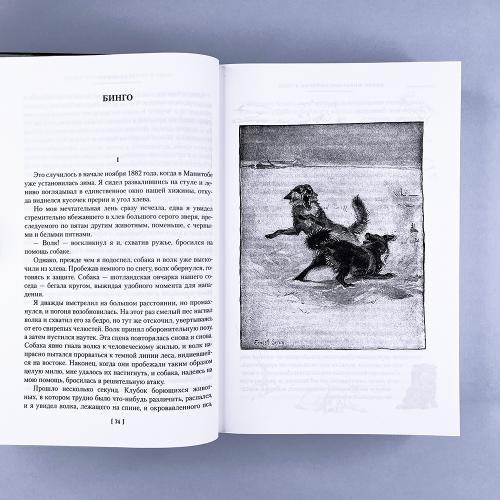 Рассказы о животных
