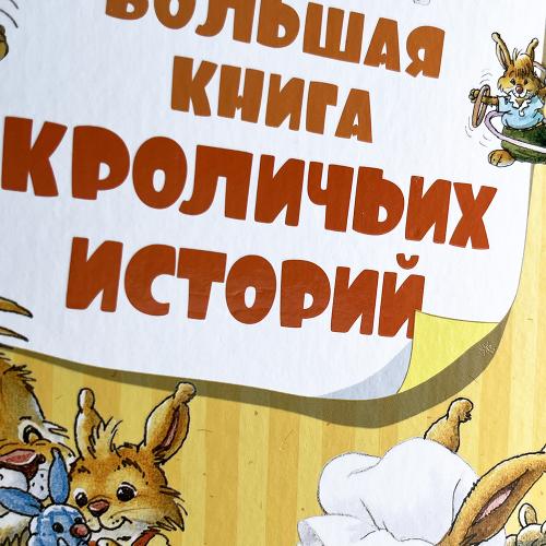 Большая книга кроличьих историй (книга с дефектом)