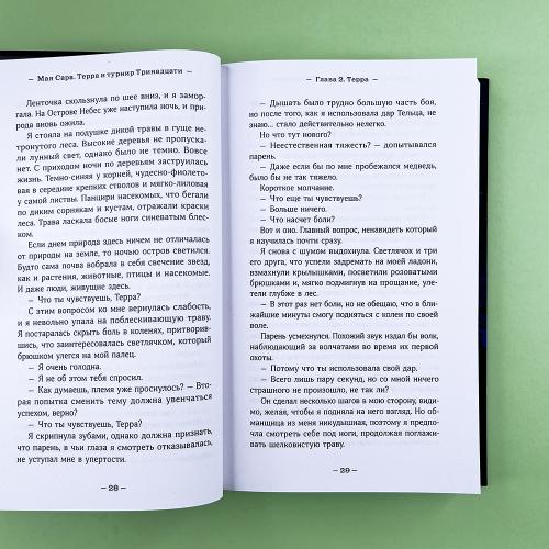 Терра и турнир Тринадцати