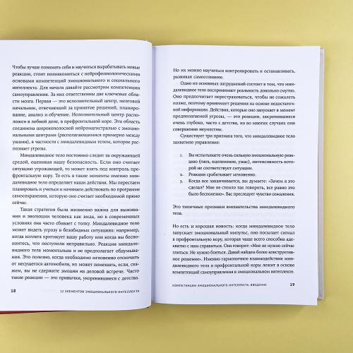 12 элементов эмоционального интеллекта. Как стать вдохновляющим лидером