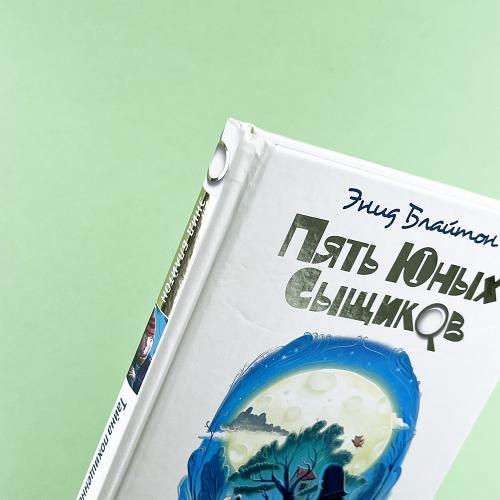 Тайна похищенной картины (книга с дефектом)
