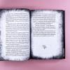 Мастер и Маргарита. Коллекционное иллюстрированное издание