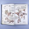The Book. Как создать цивилизацию заново (книга с дефектом)