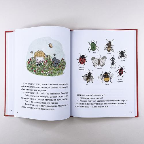 В саду Базилика. Пять историй в одной книге (книга с дефектом)