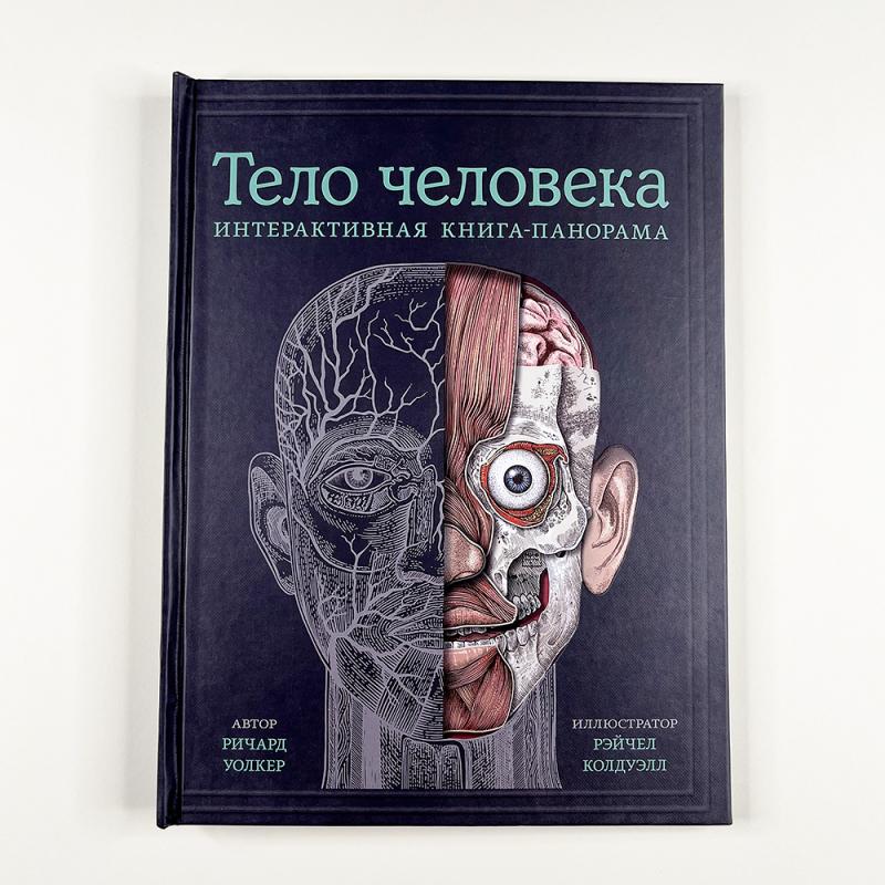 Тело человека. Интерактивная книга-панорама