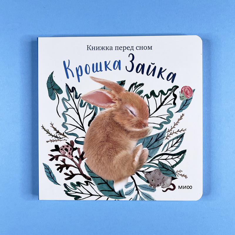 Крошка Зайка